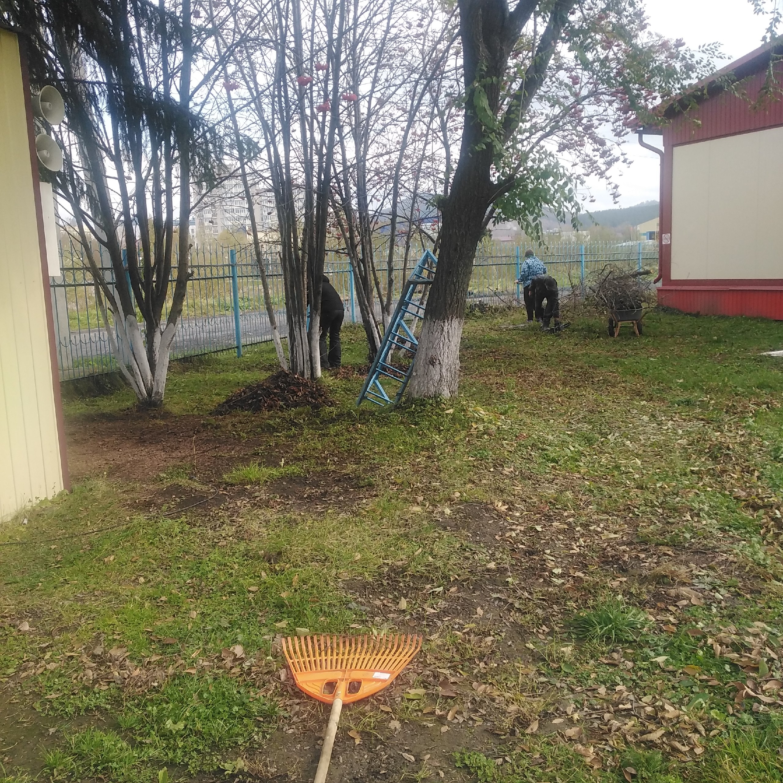 cz0THDJsp5n7rICcXJ eByfSfkIu4MGgeDxJk83kHfBniTu31LWFKxZiF6 xy4FxRfjupx4JOSik1bjvharQjEnn